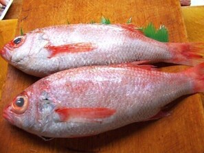 Miscellaneous - Kappo Tsuunen Minshuku Yamaya (Joetsu)