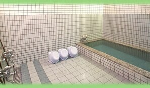 Spa - Lodge Mashu (Minamiuonuma)