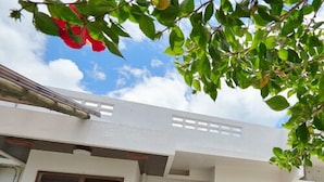 A modern building with a large wooden door, large windows, and a concrete ground. - Adan Resort Yuhina (Motobu)