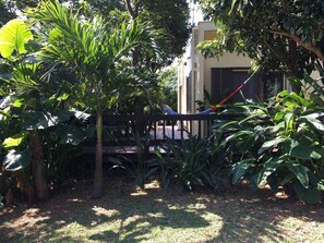 Property grounds - Kachibai <ishigakijima> (Ishigaki)