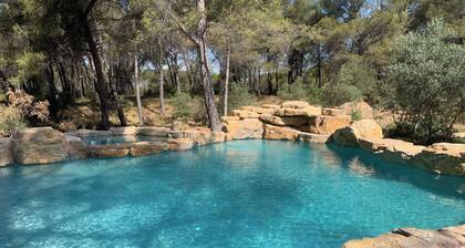 Villa Luxury Lagoon - Aix en Provence