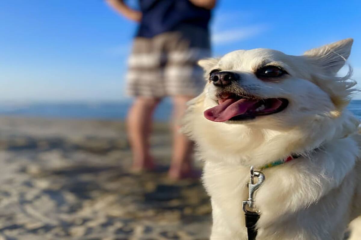 해변
