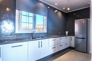 Oven, stovetop, dishwasher