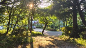 Un sentier pavé traverse une zone boisée, avec des arbres, et une route se devine à l’arrière-plan.