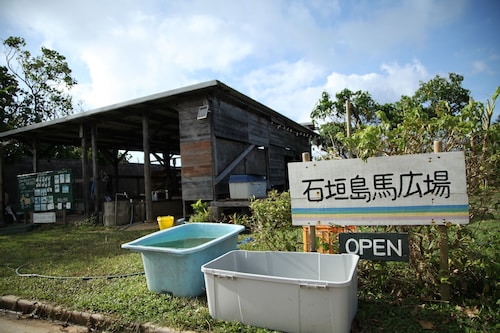 Regina Ishigaki Logteria II