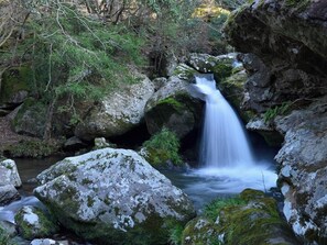 A waterfall surrounded by large rocks and greenery. - Ryokan Kobushi (Nantan)