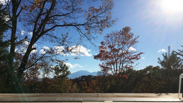 A swimming pool with a view of trees and mountains in the background. - Kusatsu Onsen Hotel Kurbio (Kusatsu)