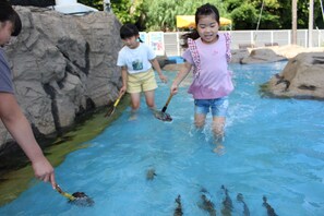 Pool - Love & Peace Resort (Shima)