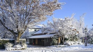 A traditional Japanese building with a snow-covered roof and surrounding trees. - Guesthouse Obuse (Obuse)