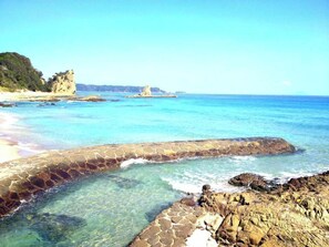 Beach - Coco De Mer (Shimoda)