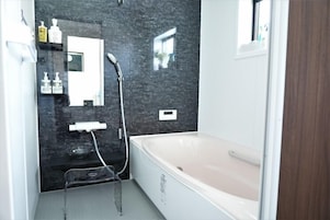 Secador de pelo, jabón, shampoo