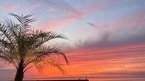 Un coucher de soleil sur une plage, avec un palmier et une clôture illuminée de guirlandes colorées.