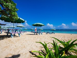 Beach - Pinehills Hotel <miyakojima> (Miyakojima)