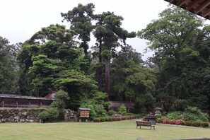 Parco della struttura