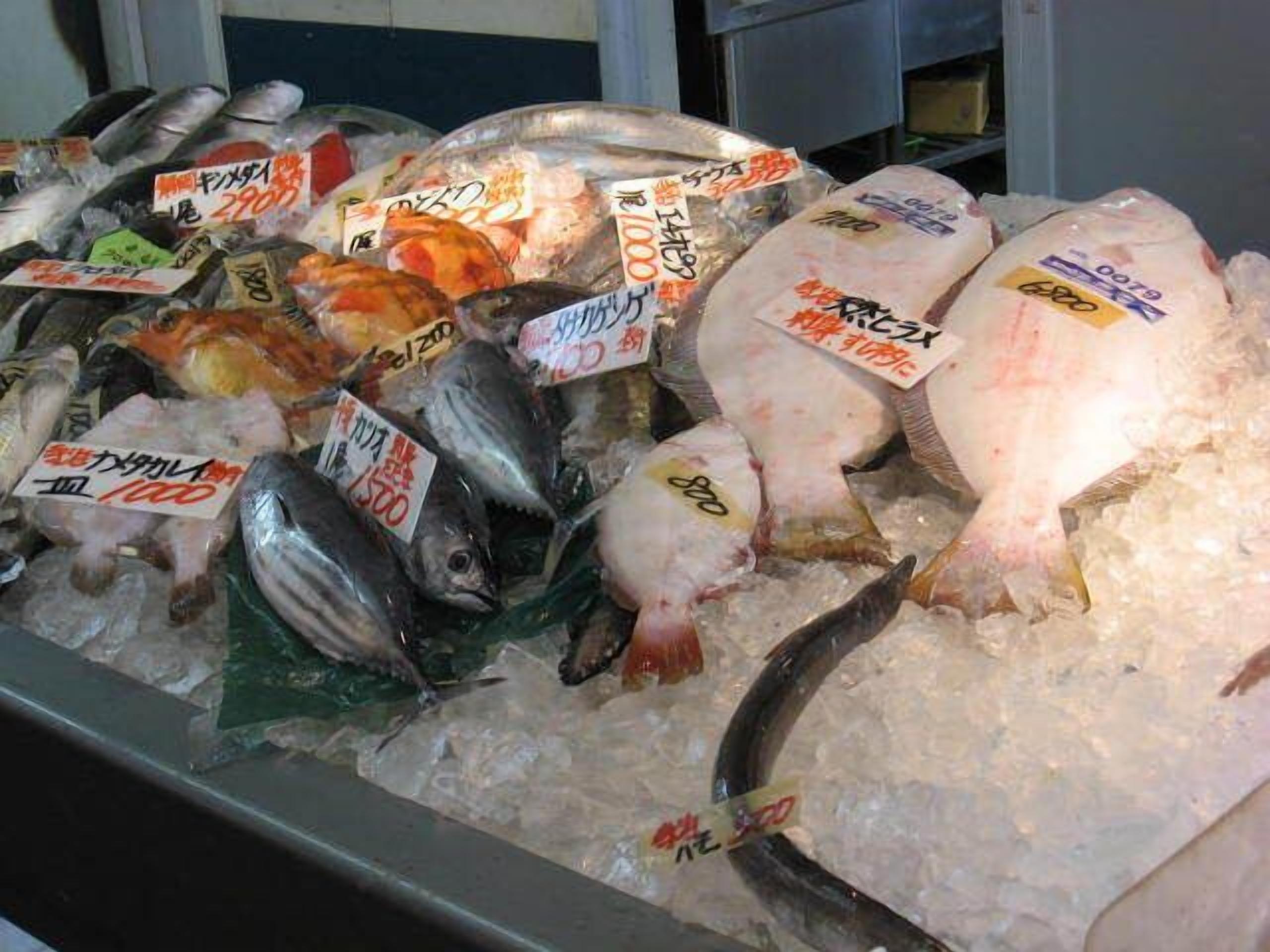 Une variété de poissons exposés sur de la glace, avec des étiquettes indiquant les prix.