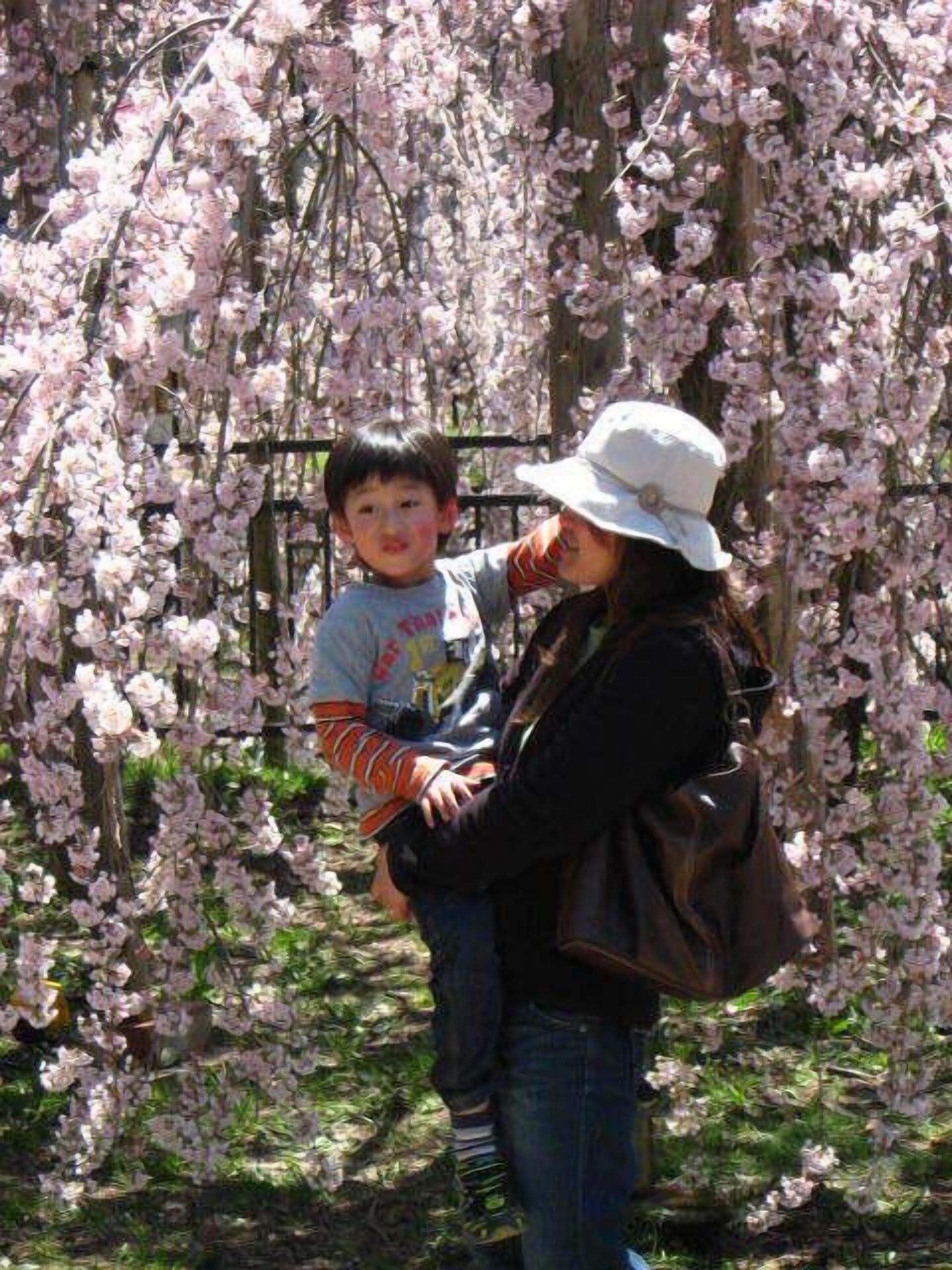 Una persona sosteniendo a un niño frente a cerezos en flor.