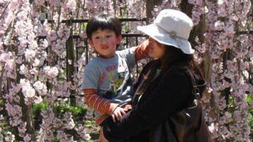 Una persona sosteniendo a un niño frente a cerezos en flor.