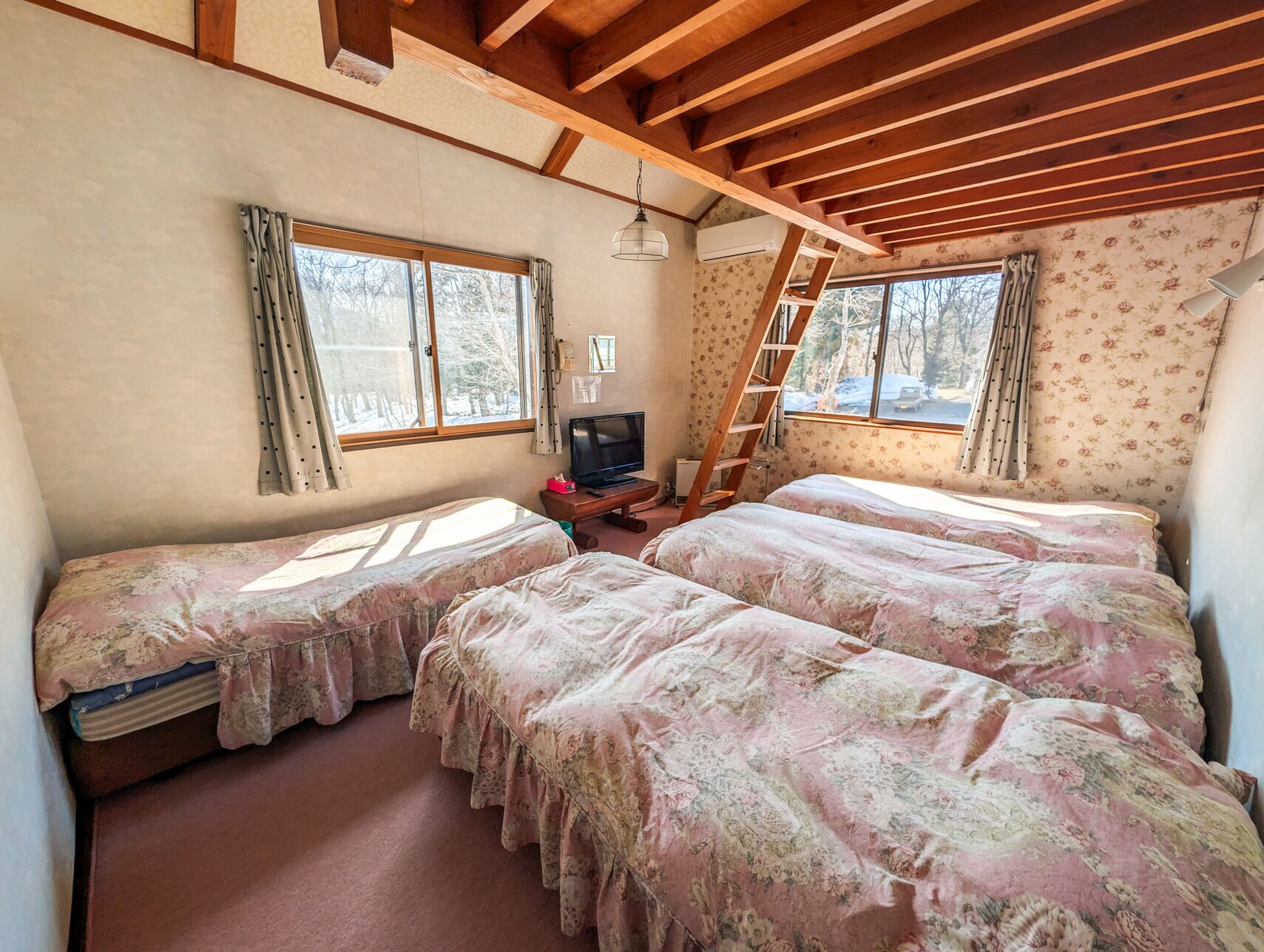 A room with two beds, a TV, a ladder, and a window with a view of trees.