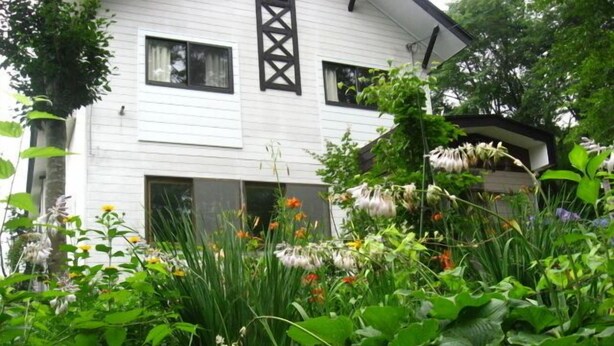 Una casa bianca con cornice delle finestre nera, circondata da vegetazione lussureggiante e diverse piante.