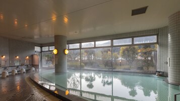 Una amplia piscina interior con vistas a árboles y un jardín a través de grandes ventanales.