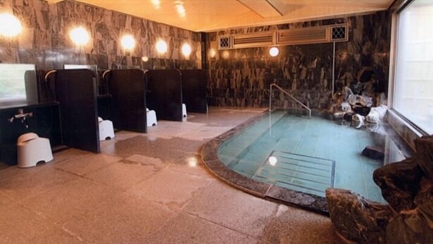 A spa area with a hot tub, seating, and a stone wall. - Dog's Rest Place (Hakone)