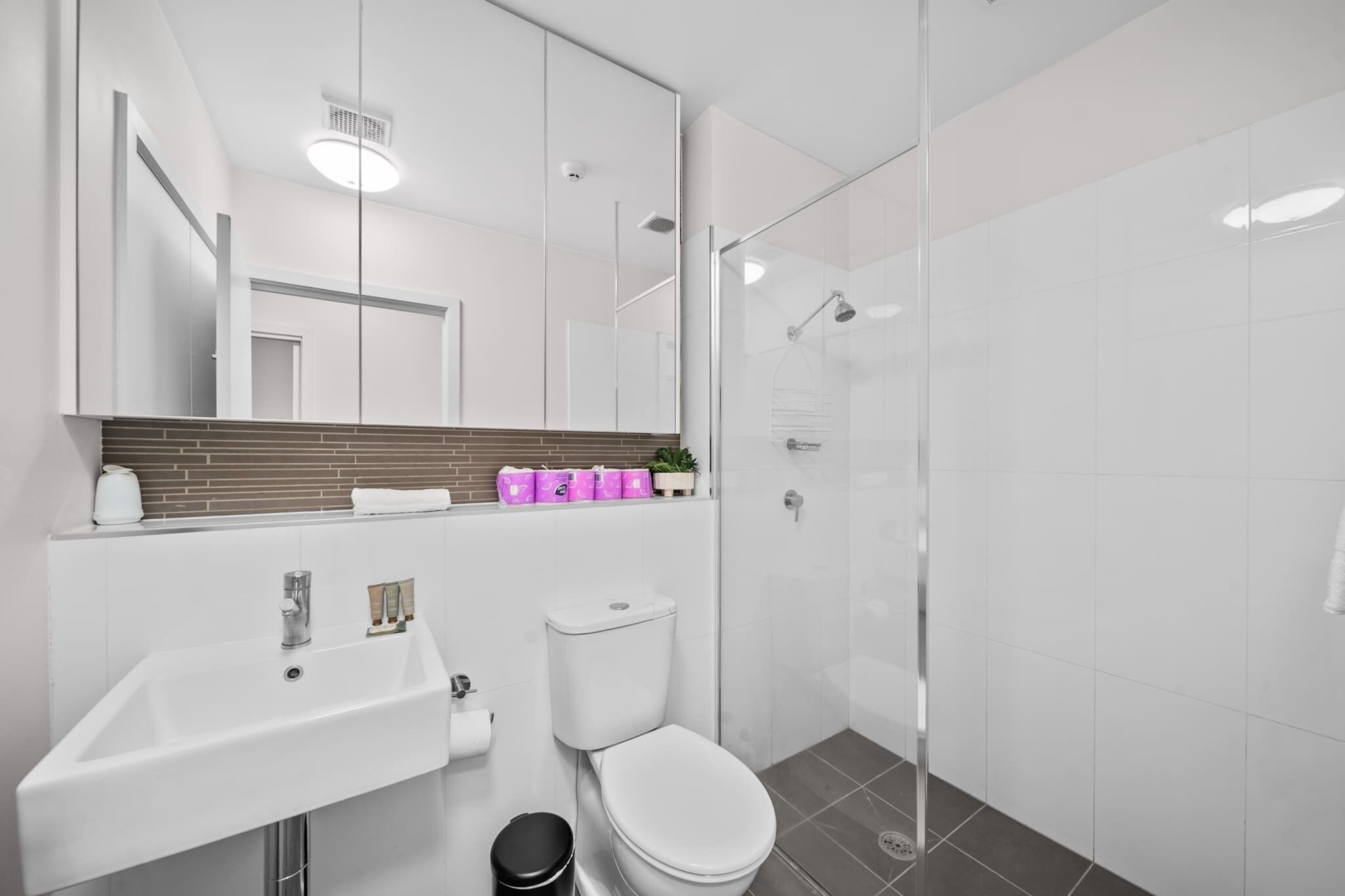 Hair dryer, towels