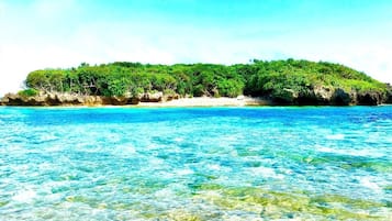 Pantai