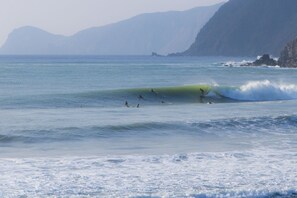 Beach - One Base (Amami)