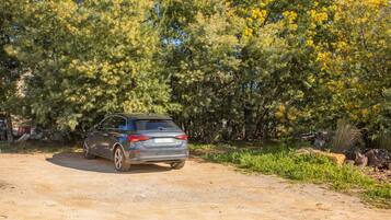 Área da propriedade