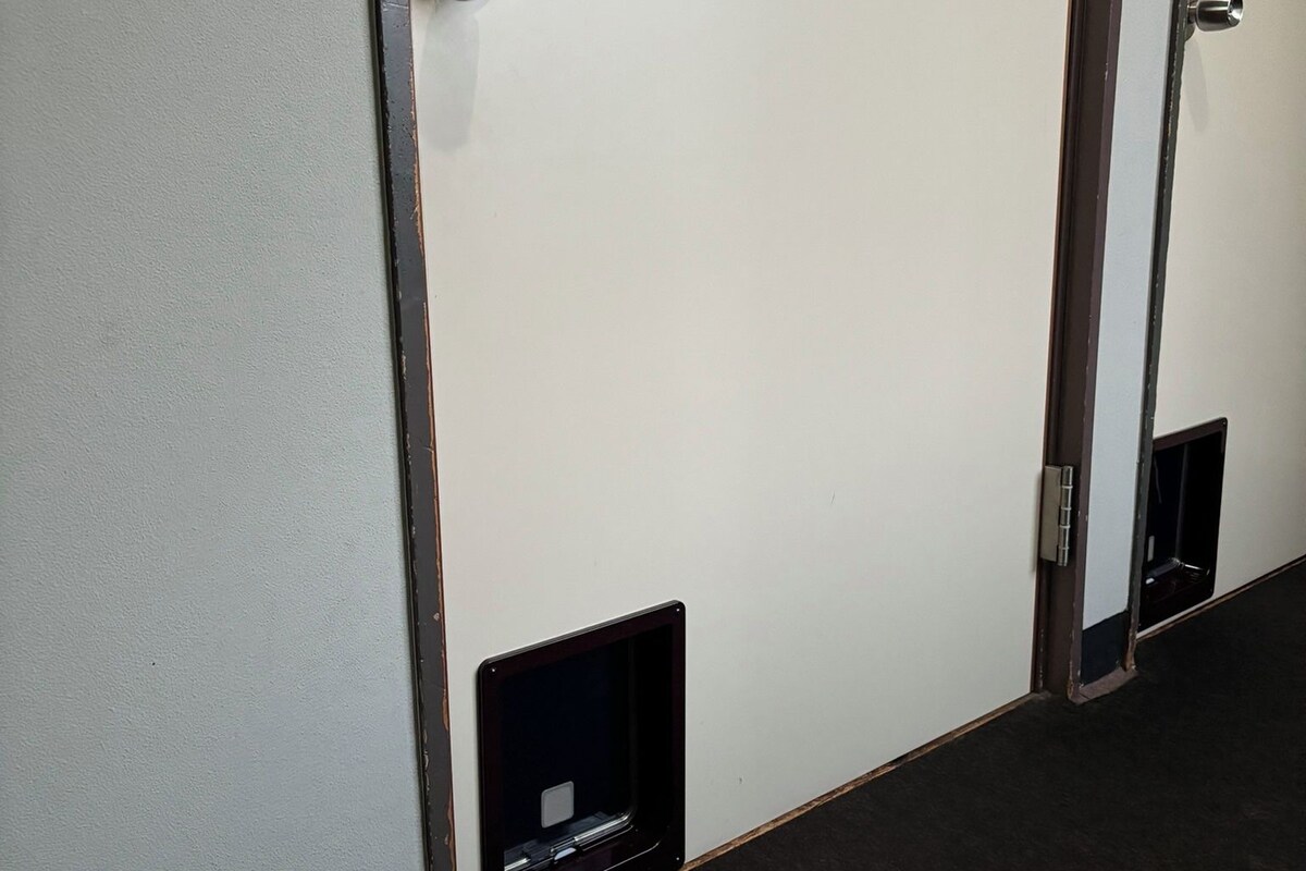 Habitación de hotel con una puerta blanca, una alfombra negra y un pequeño enchufe eléctrico negro en el suelo.