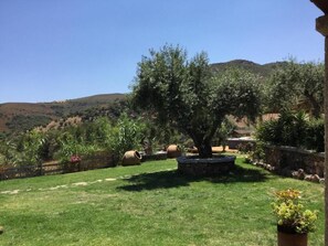 Property grounds - IL GIARDINO DI DANIELA (San Teodoro)