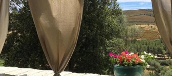 IL GIARDINO DI DANIELA