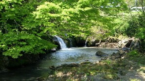 A natural landscape with a waterfall, rocks, and dense green foliage. - Guest House Amigo (Toyooka)