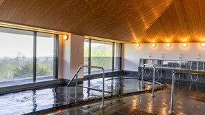 Spa - Forest Resort Citizen Sanatorium Yachiho (Sakuho)