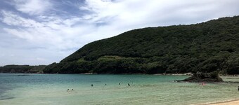 Tsushima White House