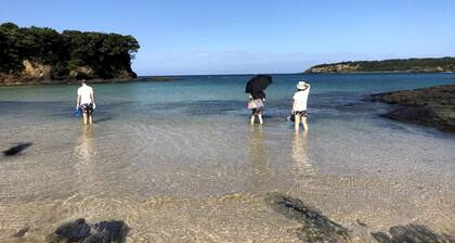 Tsushima White House
