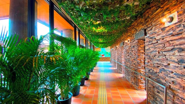 A corridor with a stone wall on one side and a glass door on the other, lined with potted plants. - Glamping Cottage Liberty Resort Daito Onsen (Kakegawa)