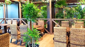 A restaurant with wicker furniture and potted plants. - Glamping Cottage Liberty Resort Daito Onsen (Kakegawa)