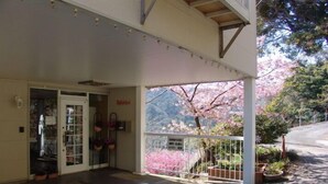 En bygningseingang med en overdækket veranda, et skilt der siger "Sakuras", og udsigt til kirsebærblomster gennem et vindue.