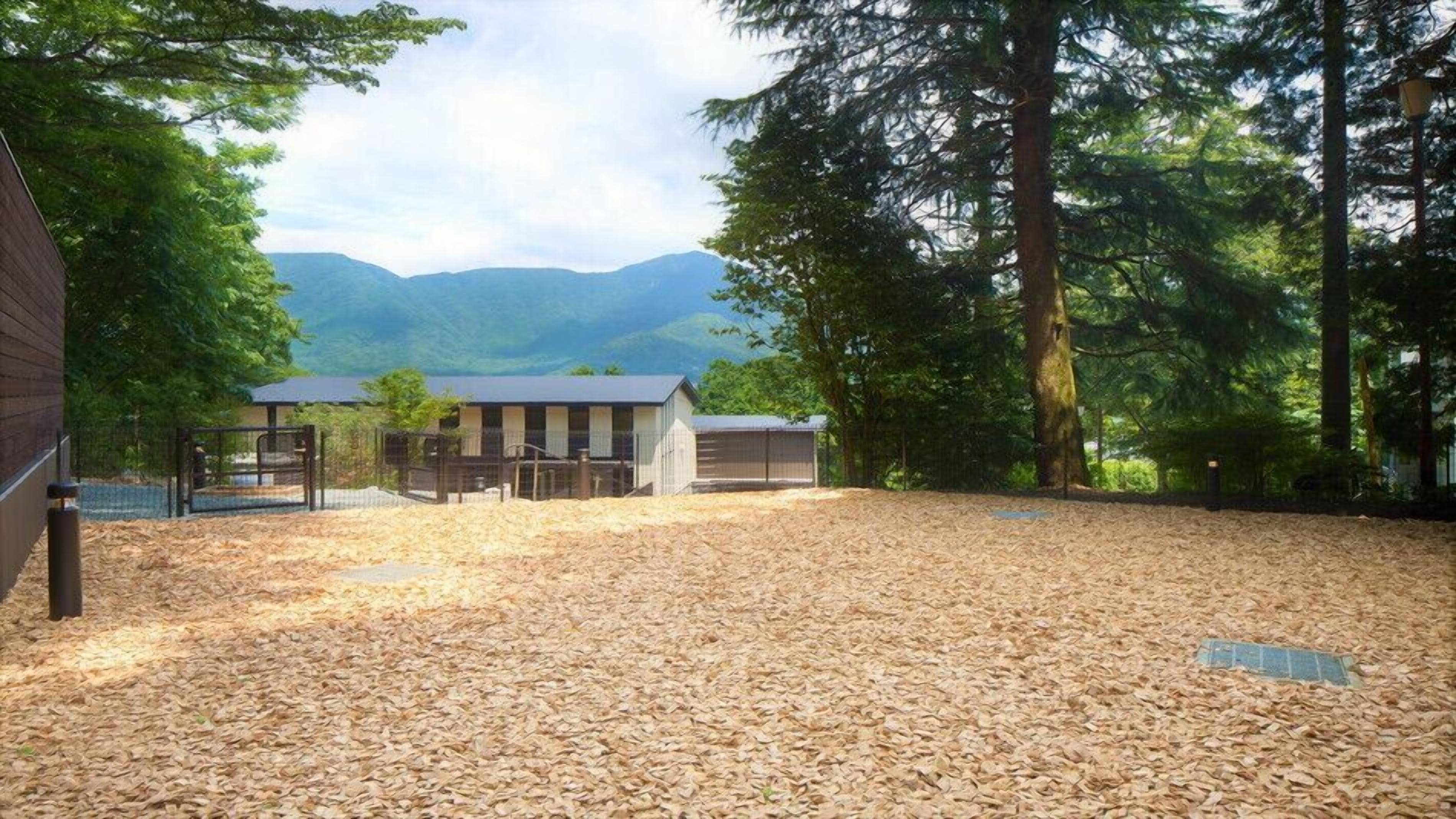 Overnattingsstedets uteområder