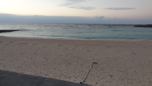 A beach with a sandy shore and calm sea.