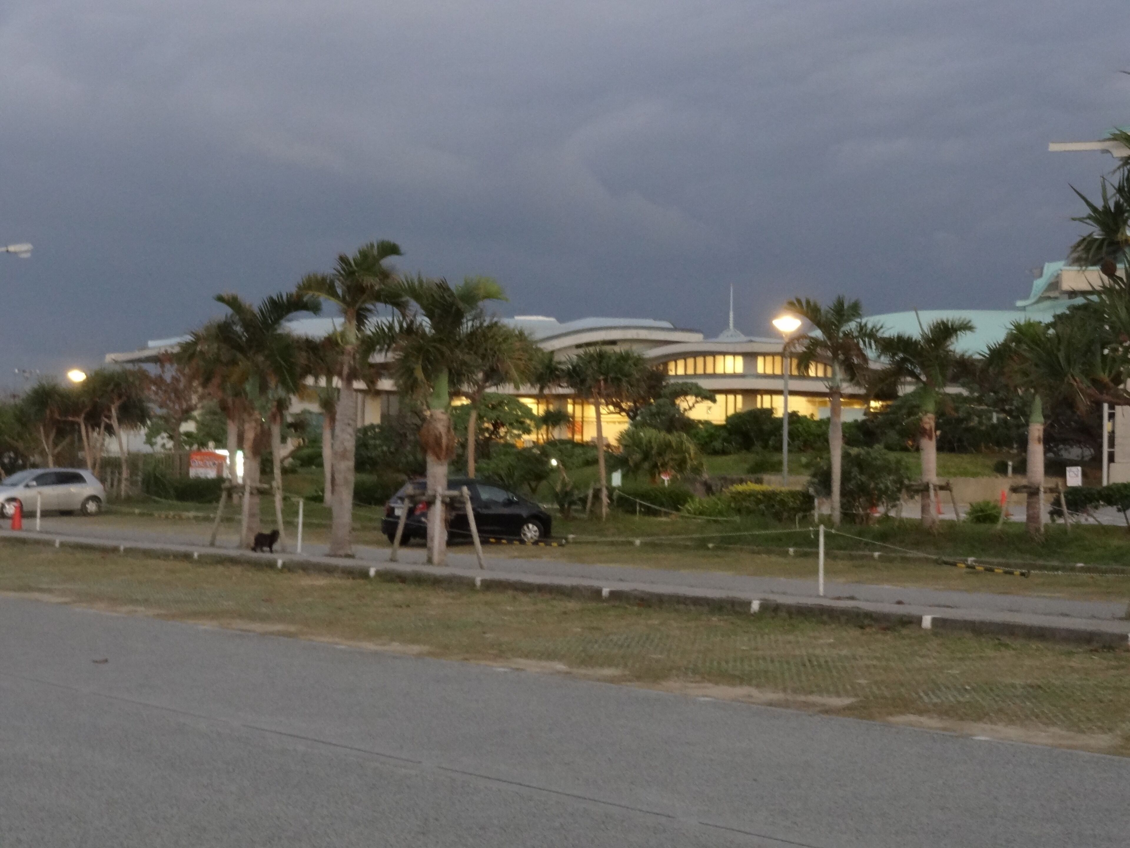 Un edificio moderno con fachada curva, rodeado de palmeras y una zona pavimentada.