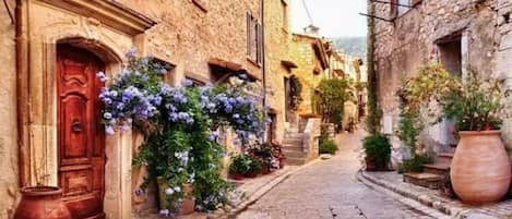 Área da propriedade