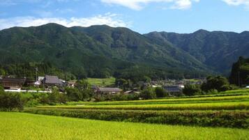 A rural landscape with terraced fields and traditional buildings.