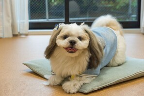 Interior - Shirahamaso (Fukui)