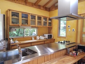 Unclassified image, 5 of 37, button - Izumibaru House (Nakijin)