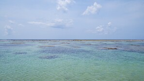 Beach - Denpaku Amami Folk House (Amami)