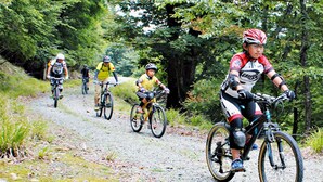 A group of cyclists on a gravel path surrounded by trees. - Plateau Konohana (Yabu)