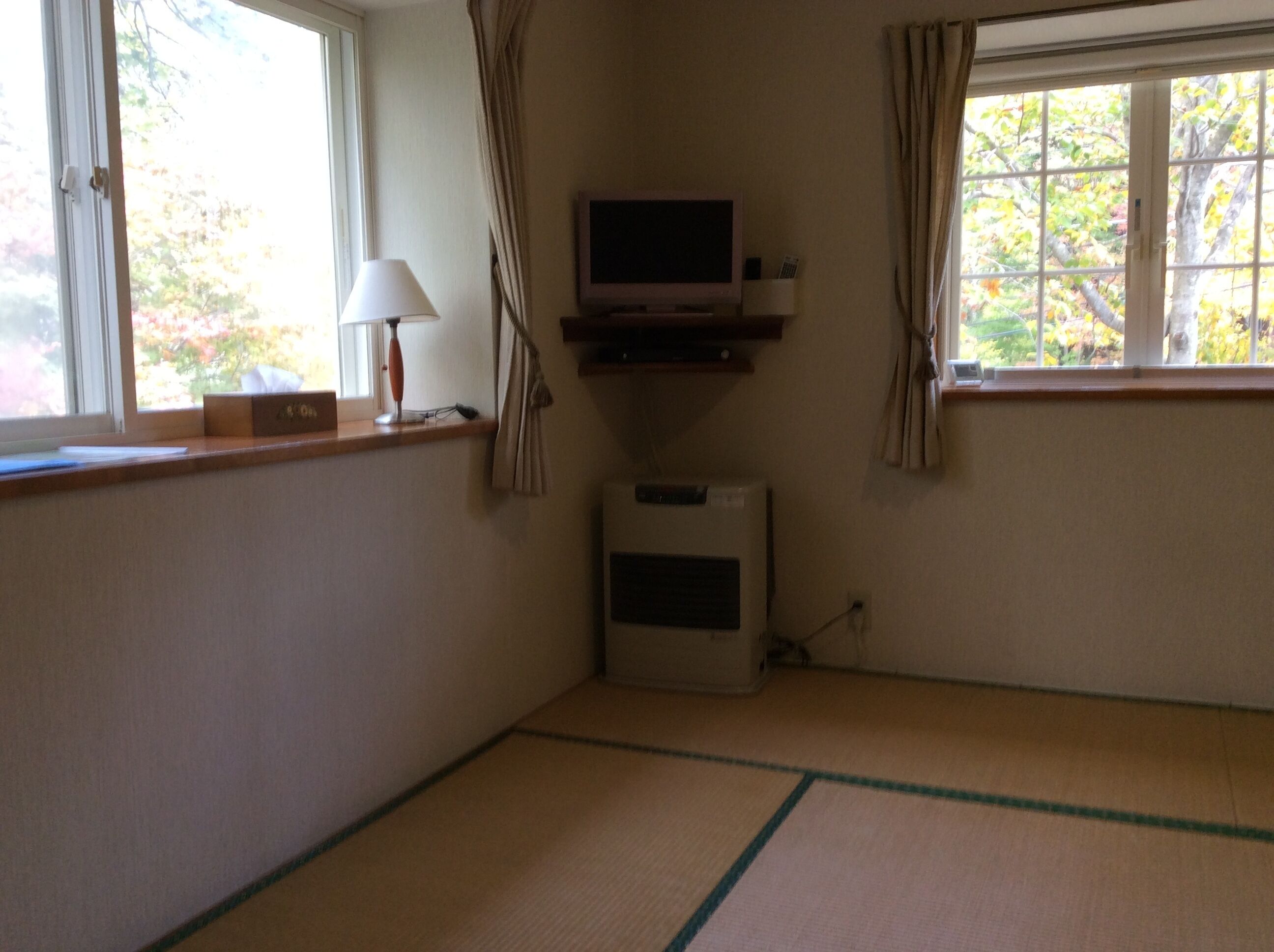Television
