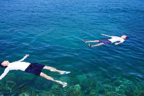 Miscellaneous - Tadayoi (Ama)